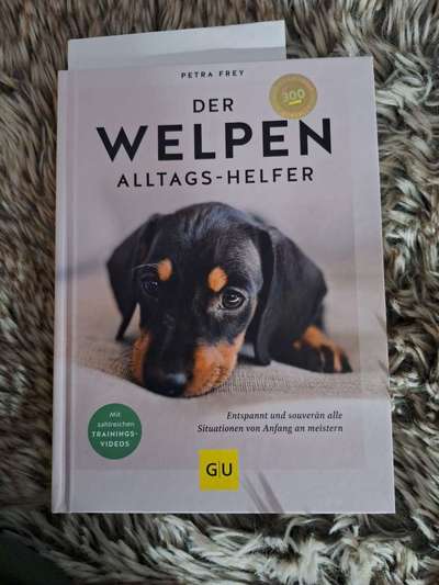 Beißhemmung beim Welpen trainieren?-Beitrag-Bild