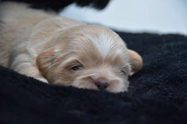 Sie werden so schnell erwachsen ...-Beitrag-Bild