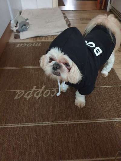 LUSTIGE FOTOS! WER KANN MITHALTEN?-Beitrag-Bild