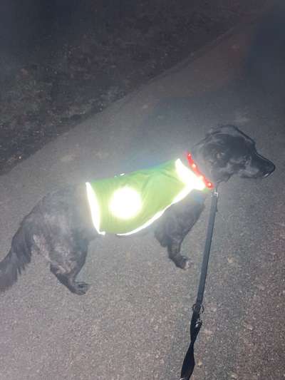 Beleuchtung im Herbst?-Beitrag-Bild