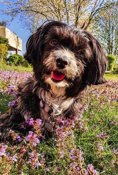 Immer lächeln !-Beitrag-Bild