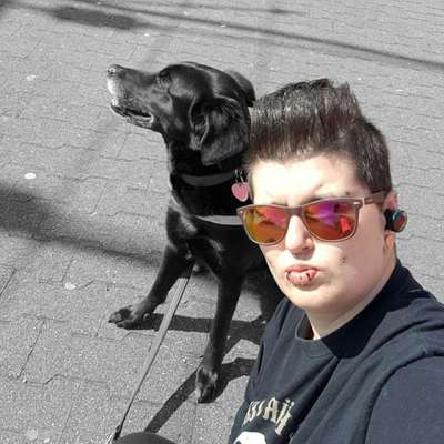 Hundetreffen-Suchen treffen zum lernen und spielen