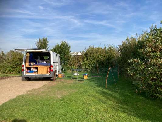 Zaun für Camping mit Hund.-Beitrag-Bild