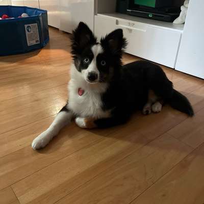 Cecelya's Profilbild