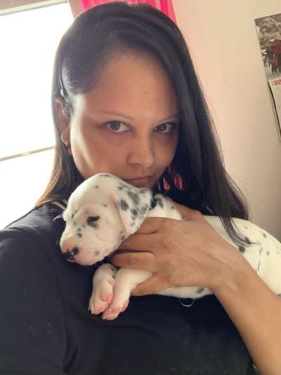 Welpen Bilder !-Beitrag-Bild