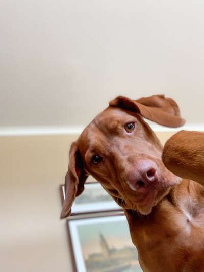 Fotochallange 84-Beitrag-Bild