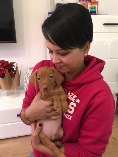 Welpen Bilder !-Beitrag-Bild