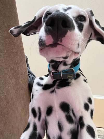 Fotochallange 84-Beitrag-Bild