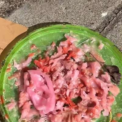 Giftköder-Köder mit Nadeln und Plastikteilen-Bild