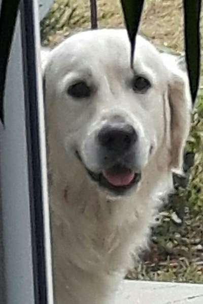 Spielzeug aufbewahrung-Beitrag-Bild