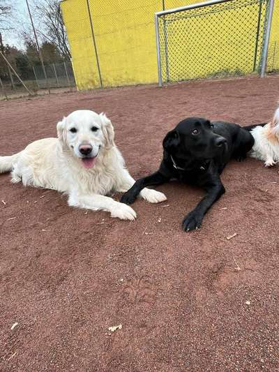 Anspringen von Fremden-Beitrag-Bild