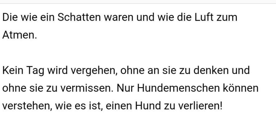 Wo sind die Golden Retriever Liebhaber?-Beitrag-Bild