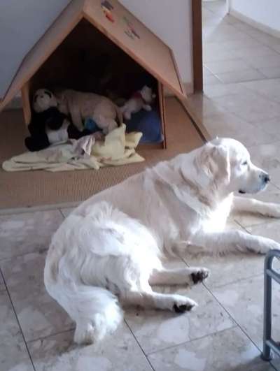 Spielzeug aufbewahrung-Beitrag-Bild