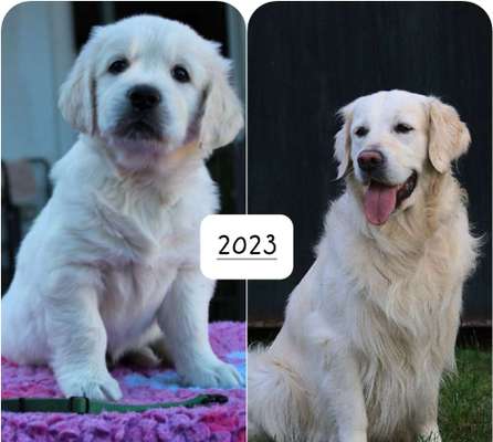 Häufige Vorurteile-Beitrag-Bild