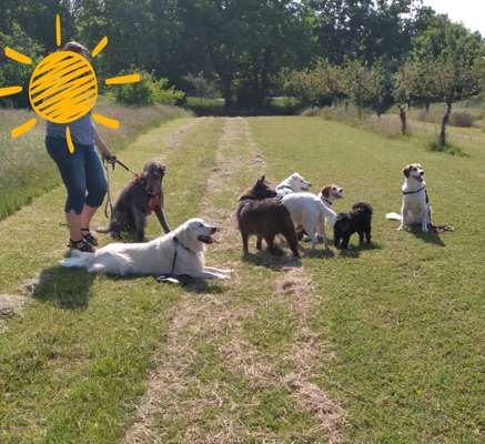 Kommunikation unter "Hundefreunden"-Beitrag-Bild