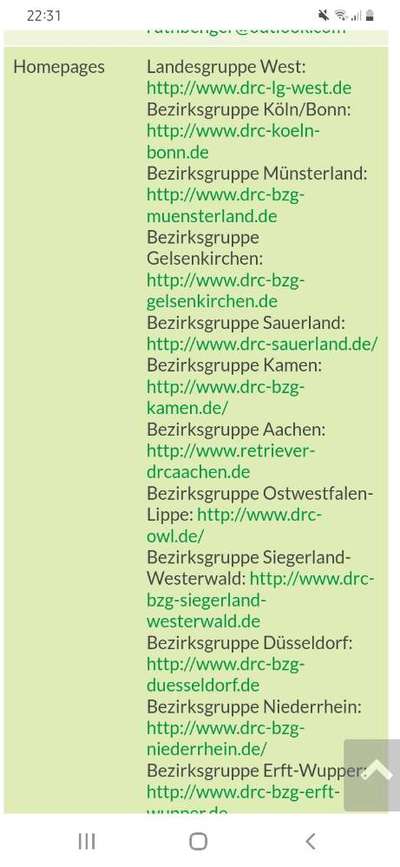 Klauen von Schuhen , Socken usw.-Beitrag-Bild