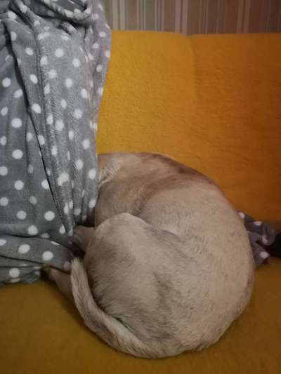 Die unbequemsten und lustigsten Schlafpositionen-Beitrag-Bild