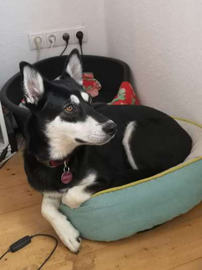 Die unbequemsten und lustigsten Schlafpositionen-Beitrag-Bild