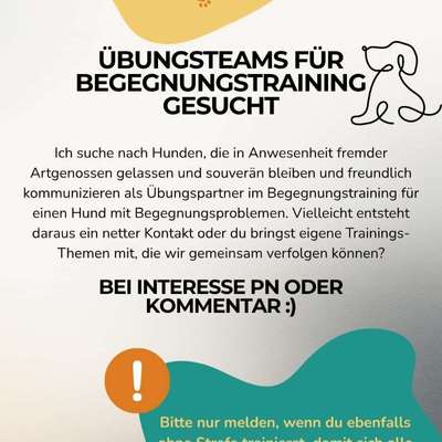 Hundetreffen-Begegnungstraining-Bild