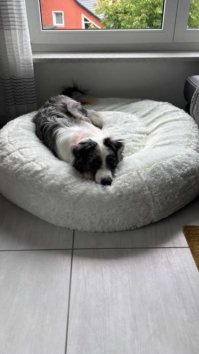 Erfahrung mit Wolkenbett-Beitrag-Bild