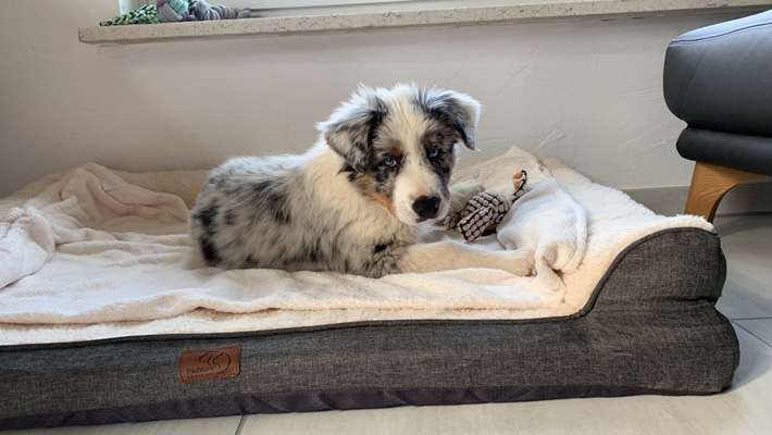 Fotochallange Nummer 5-Beitrag-Bild