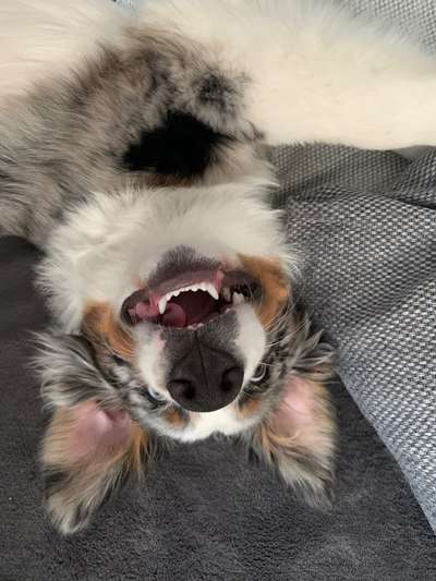 Lustige Grimassen & verrückte Posen-Beitrag-Bild