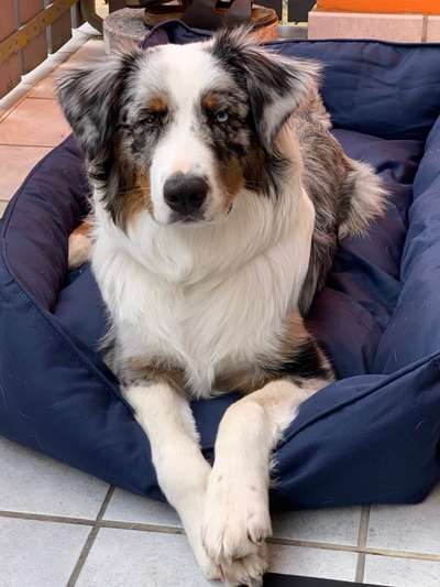 mailo, milow,meilo..-Beitrag-Bild