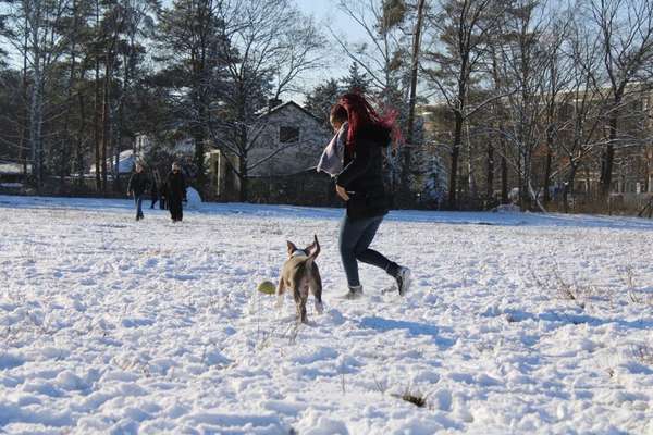 Hundetreffen-Gassi- und/oder Spielrunde 🐶-Bild
