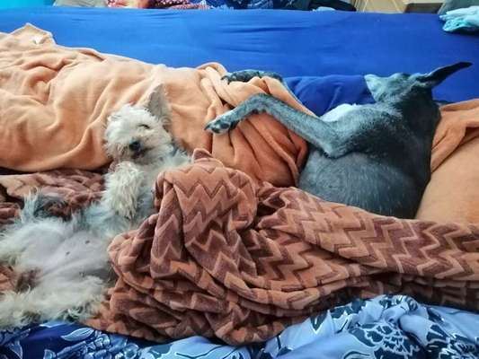 Ins Bett ja oder nein-Beitrag-Bild