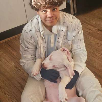 dog-meetup-Doggy hang out, sheldon country park-profile-image