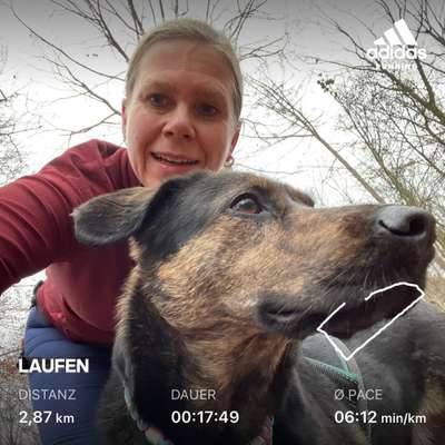 Hundetreffen-Canicross- oder Lauftreff-Bild