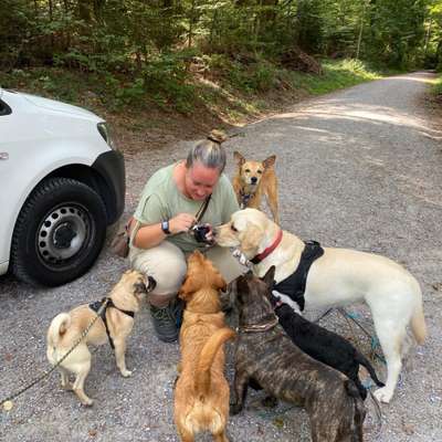 Gassi-Services-The charming dog service-Bild