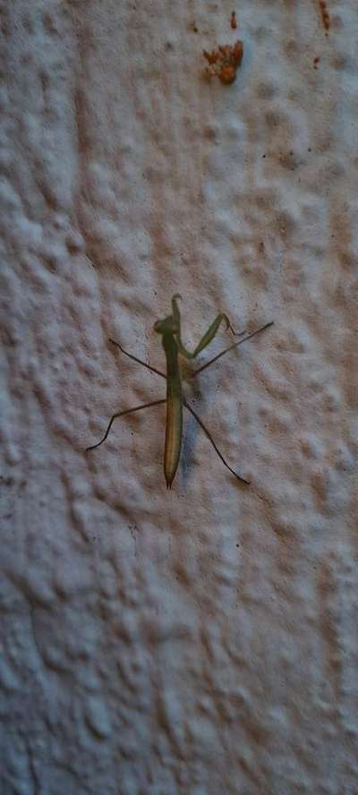 Die wunderschöne Welt mit Hund.-Beitrag-Bild