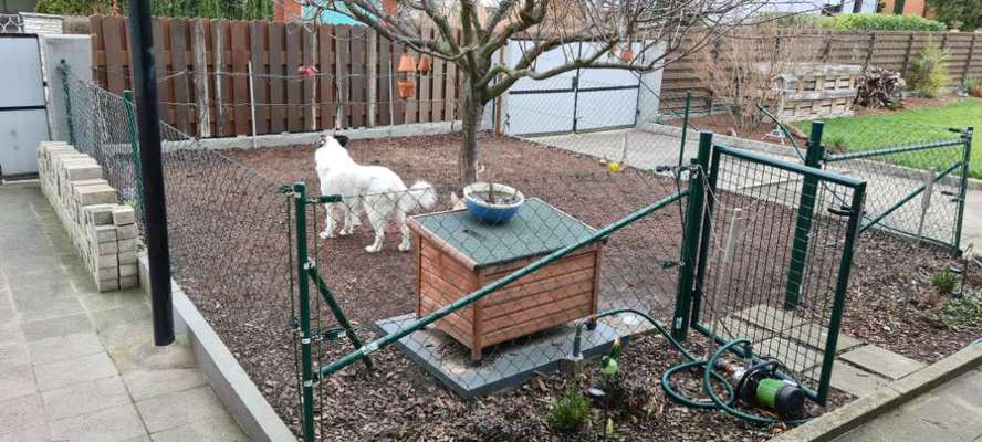 Löseplatz, und wird er auch von Eurem Welpen / Junghunden  / Hunden angenommen ?-Beitrag-Bild
