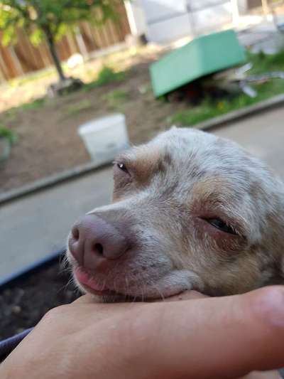 LUSTIGE FOTOS! WER KANN MITHALTEN?-Beitrag-Bild