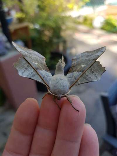 Die wunderschöne Welt mit Hund.-Beitrag-Bild