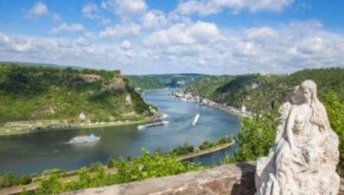 Wie heißt dein Hund?-Beitrag-Bild