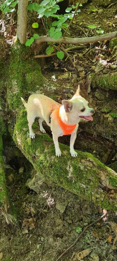 Foto Challenge Nr. 79-Beitrag-Bild