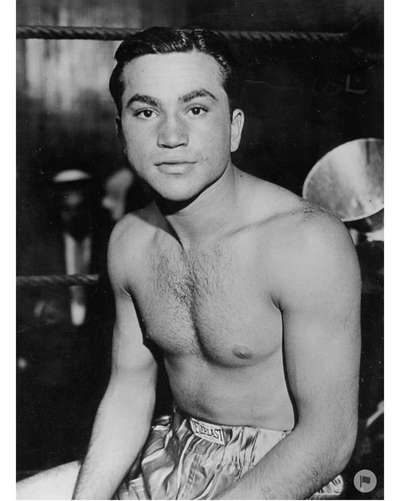 Wie heißt dein Hund?-Beitrag-Bild