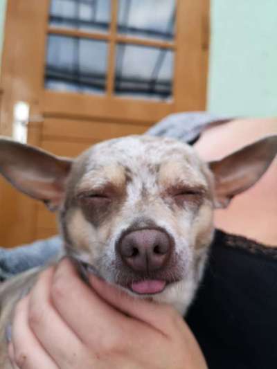 4. Lustiger Schlafplatz-Beitrag-Bild