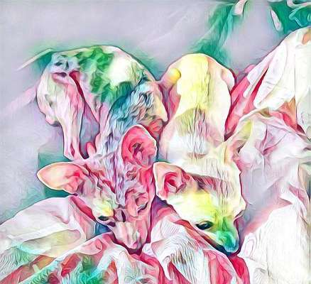 Eure schönsen-Beitrag-Bild