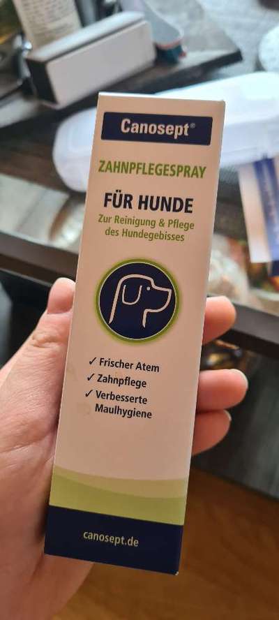 Zahnpflege... putzen, Spray, Gel oder Pulver?-Beitrag-Bild