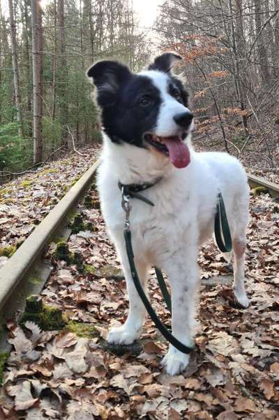 Foto Challenge Nr. 79-Beitrag-Bild