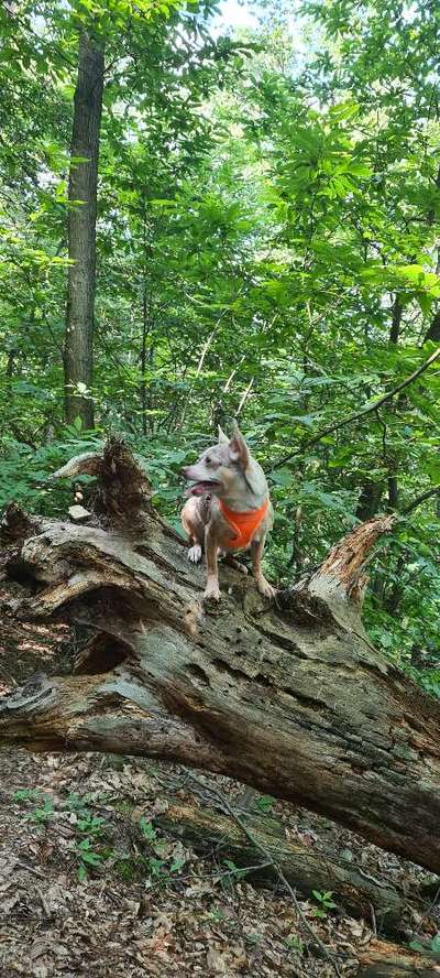 Foto Challenge Nr. 79-Beitrag-Bild