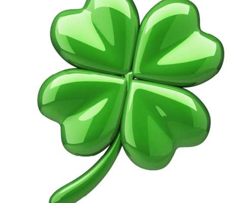 Wie heißt dein Hund?-Beitrag-Bild