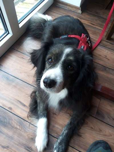 Von oben-Beitrag-Bild