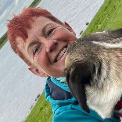 Hundetreffen-Spaziergänge durch Wald und Feld-Profilbild