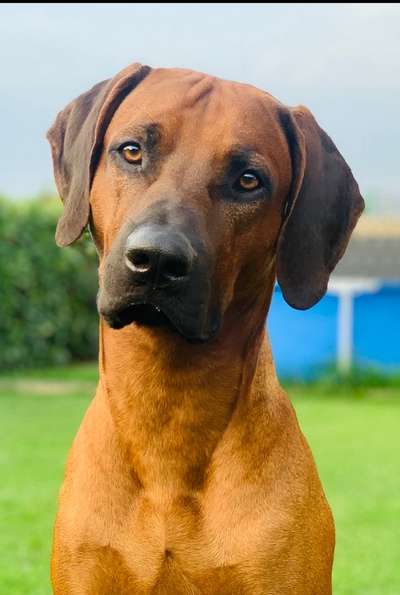 Fotochallange Nr. 57     PORTRÄT.   Beendet!!!!!!!!-Beitrag-Bild