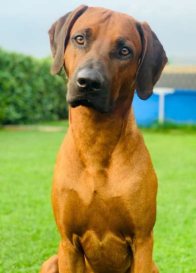 Fotochallange Nr. 57     PORTRÄT.   Beendet!!!!!!!!-Beitrag-Bild