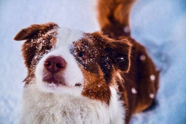 Handy-Foto-Challange Nr.9-Beitrag-Bild